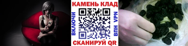 ГАШ Ice-O-Lator Артём