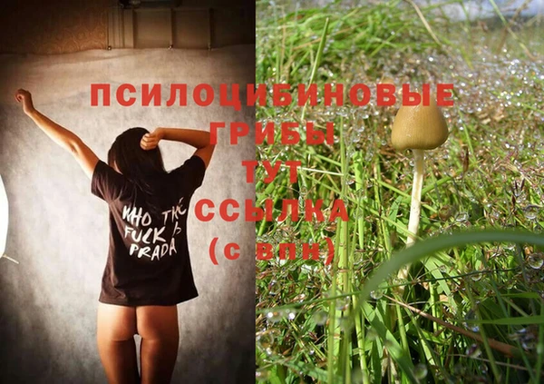 мяу мяу мука Киреевск