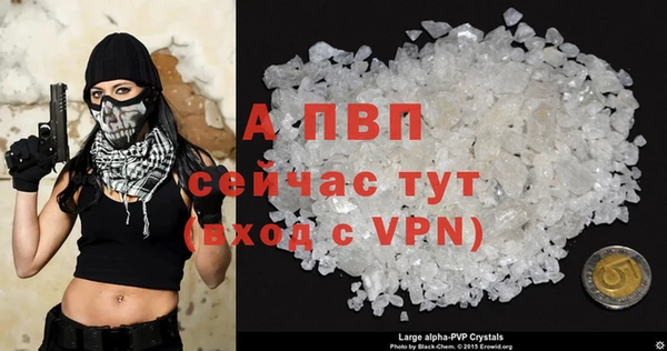ECSTASY Кинешма