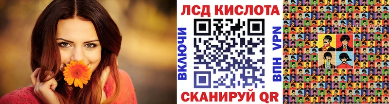 где продают наркотики  Артём  Наркотические марки 1,8мг 